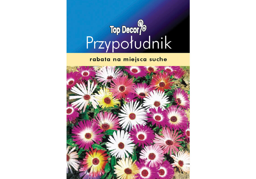 Zdjęcie: Przypołudnik TOP DECOR