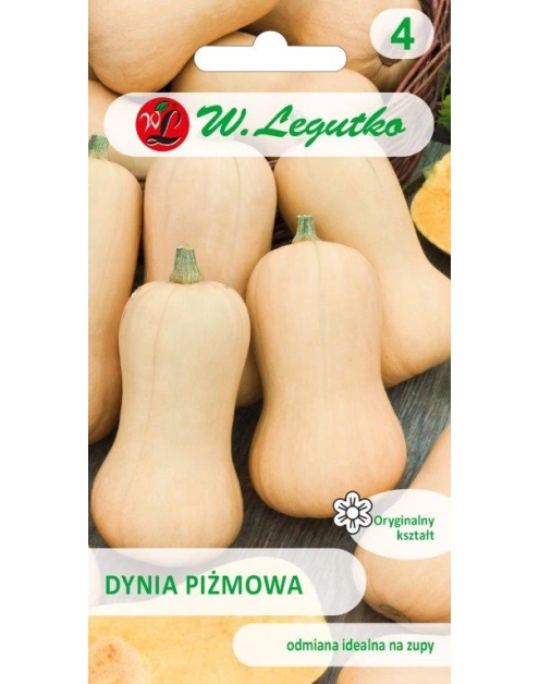 Zdjęcie: Dynia piżmowa Butternut biała W. LEGUTKO