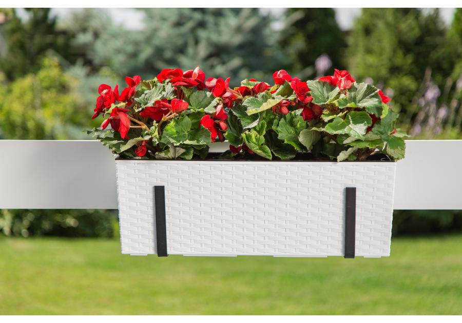 Zdjęcie: Kwietnik Begonia 190x560 mm rattan, biały LAMELA