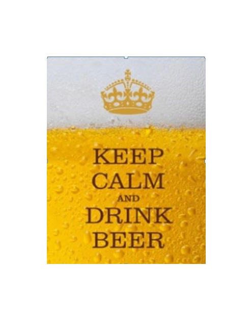 Zdjęcie: Obraz na kanwie Drink beer 20x26 cm BERTONI