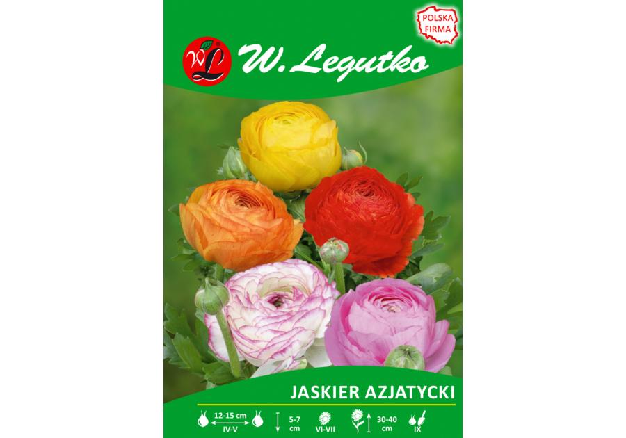 Zdjęcie: Jaskier azjatycki mieszanka seria tradycyjna W.LEGUTKO