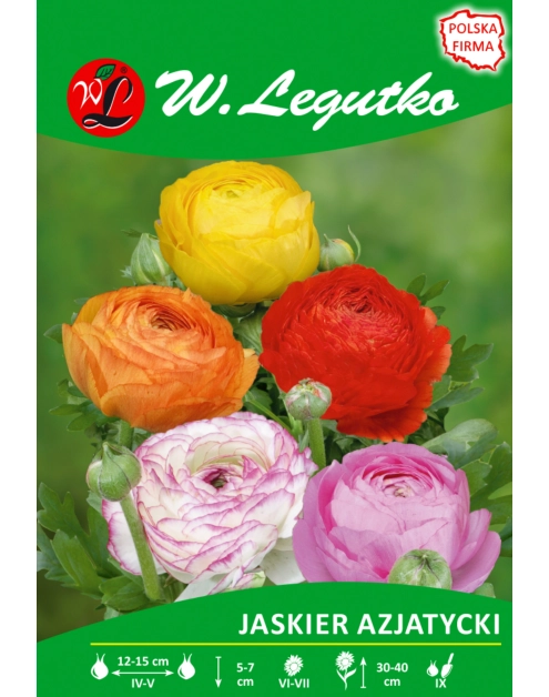 Zdjęcie: Jaskier azjatycki mieszanka seria tradycyjna W.LEGUTKO