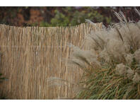 Zdjęcie: Osłona bambusowa 300x100 cm VOG