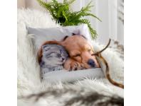 Zdjęcie: Poszewka Animal 69 biała 45 x 45 cm Mink EUROFIRANY