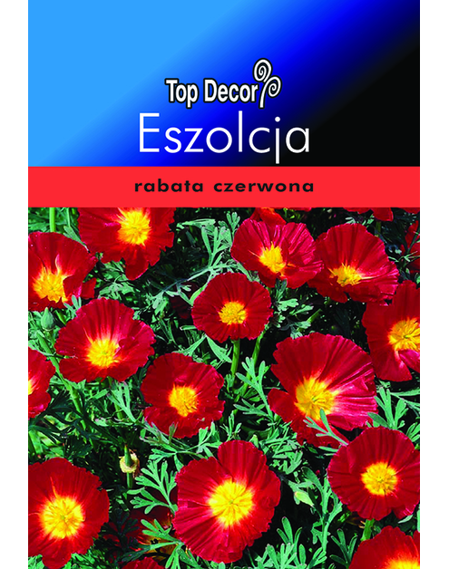 Zdjęcie: Eszolcja TOP DECOR