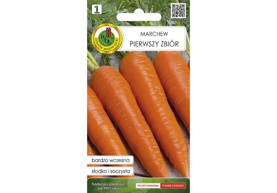 Zdjęcie: Marchew jadalna Pierwszy Zbiór 2 g PNOS