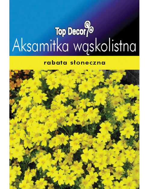 Zdjęcie: Aksamitka wąskolistna TOP DECOR