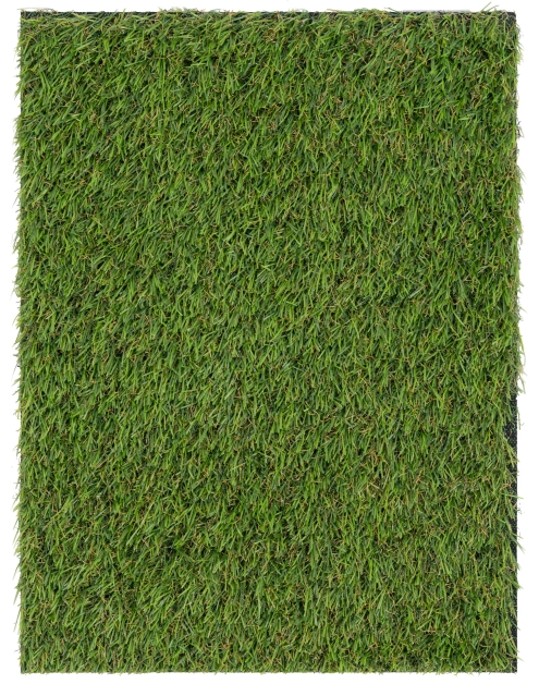 Zdjęcie: Sztuczna trawa Serano 2 m, 25 mm MULTI-DECOR