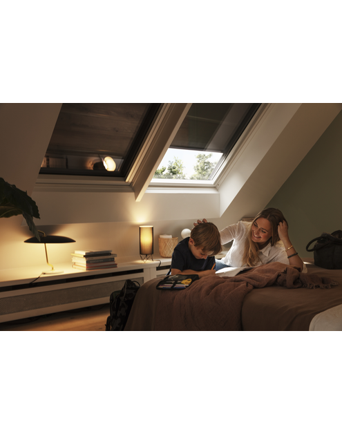 Zdjęcie: Kołnierz bliźniaczy EBW MK08 0021B VELUX