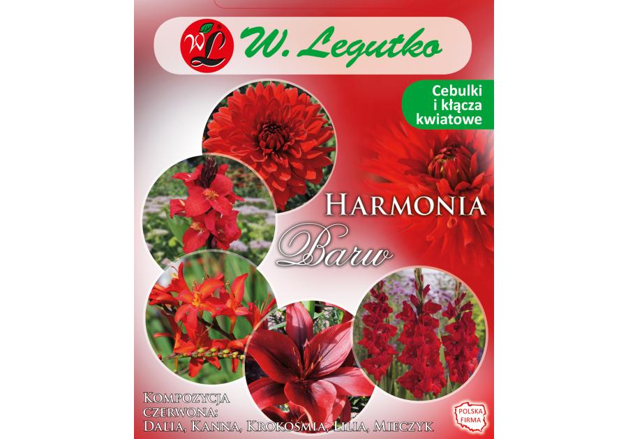 Zdjęcie: Kompozycja czerwona Harmonia Barw Wiosna W.LEGUTKO