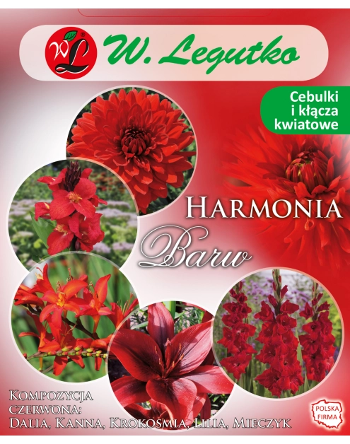 Zdjęcie: Kompozycja czerwona Harmonia Barw Wiosna W.LEGUTKO