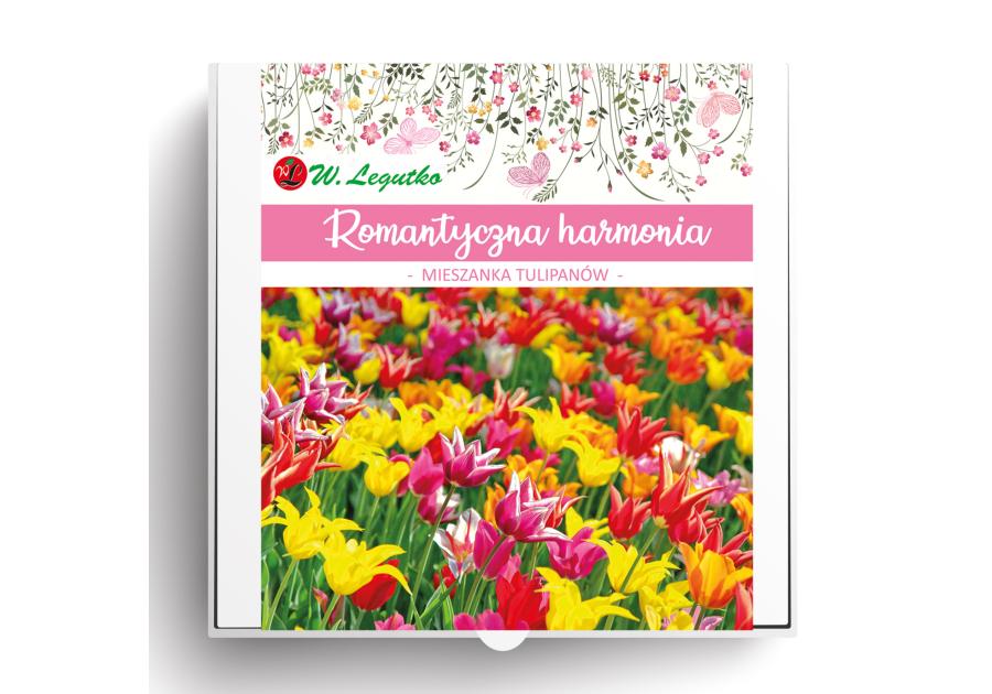 Zdjęcie: Kompozycja cebul kwiatowych Romantyczna harmonia W.LEGUTKO