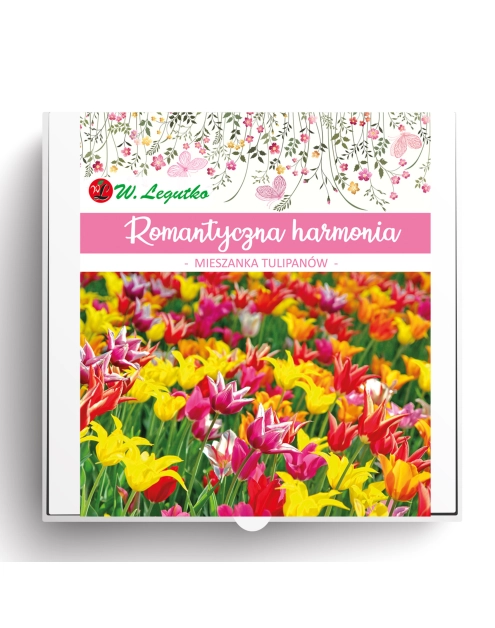 Zdjęcie: Kompozycja cebul kwiatowych Romantyczna harmonia W.LEGUTKO