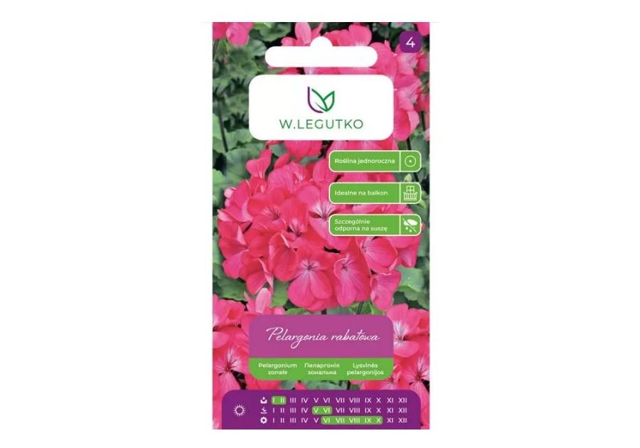 Zdjęcie: Pelargonia rabatowa Gama F1 różowa 0,05 g W.LEGUTKO