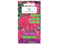 Zdjęcie: Pelargonia rabatowa Gama F1 różowa 0,05 g W.LEGUTKO