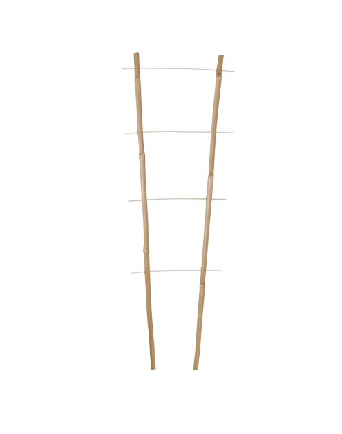 Zdjęcie: Podpora bambusowa 30 cm TIN TOURS