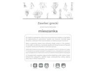 Zdjęcie: Zawilec grecki mieszanka 6 sztuk W.LEGUTKO