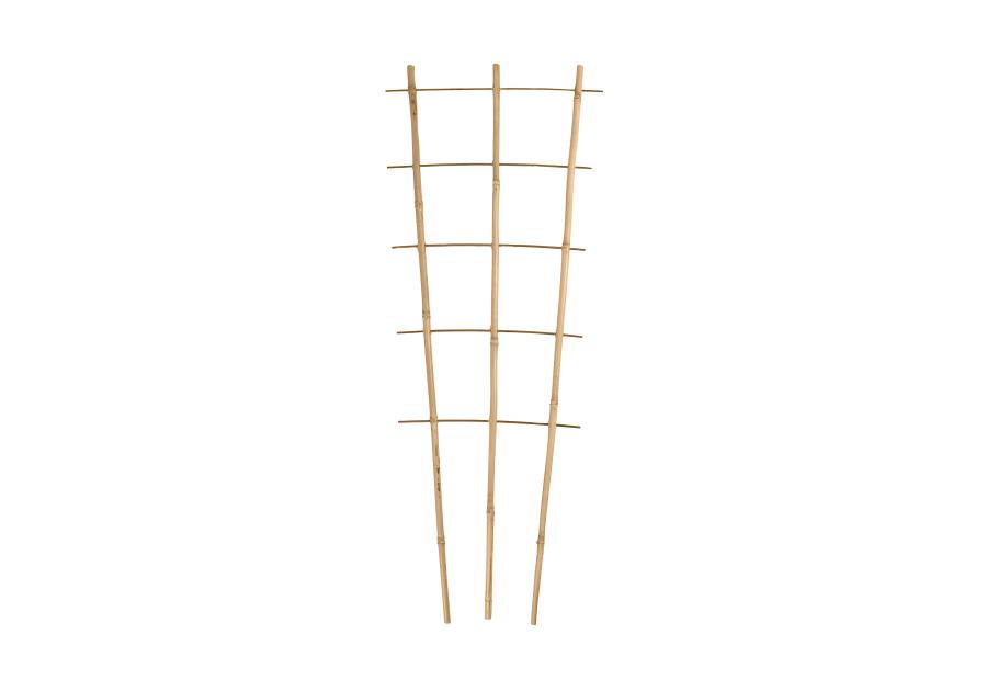 Zdjęcie: Podpora bambusowa 210 cm TIN TOURS