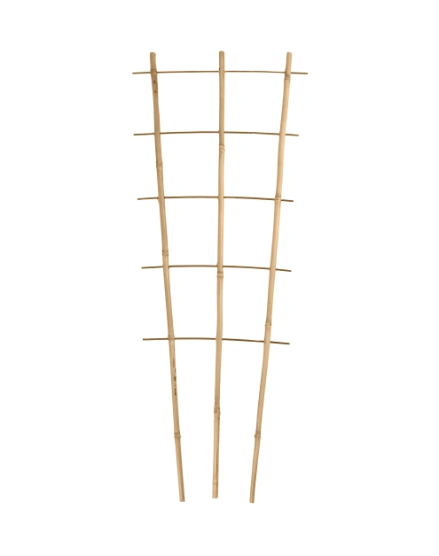 Zdjęcie: Podpora bambusowa 210 cm TIN TOURS