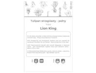 Zdjęcie: Tulipan Lion King czerwony 3 sztuki W.LEGUTKO
