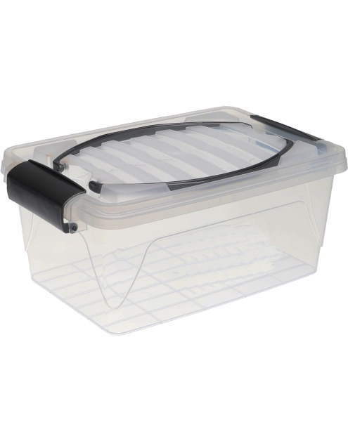 Zdjęcie: Pojemnik plastikowy z uchwytem 5 L Dante multikolor SYSTEMO