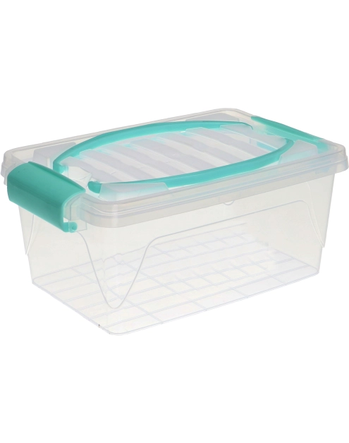 Zdjęcie: Pojemnik plastikowy z uchwytem 5 L Dante multikolor SYSTEMO