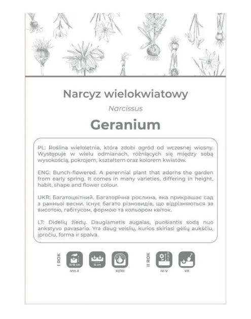 Zdjęcie: Narcyz Geranium biały 3 sztuki W.LEGUTKO