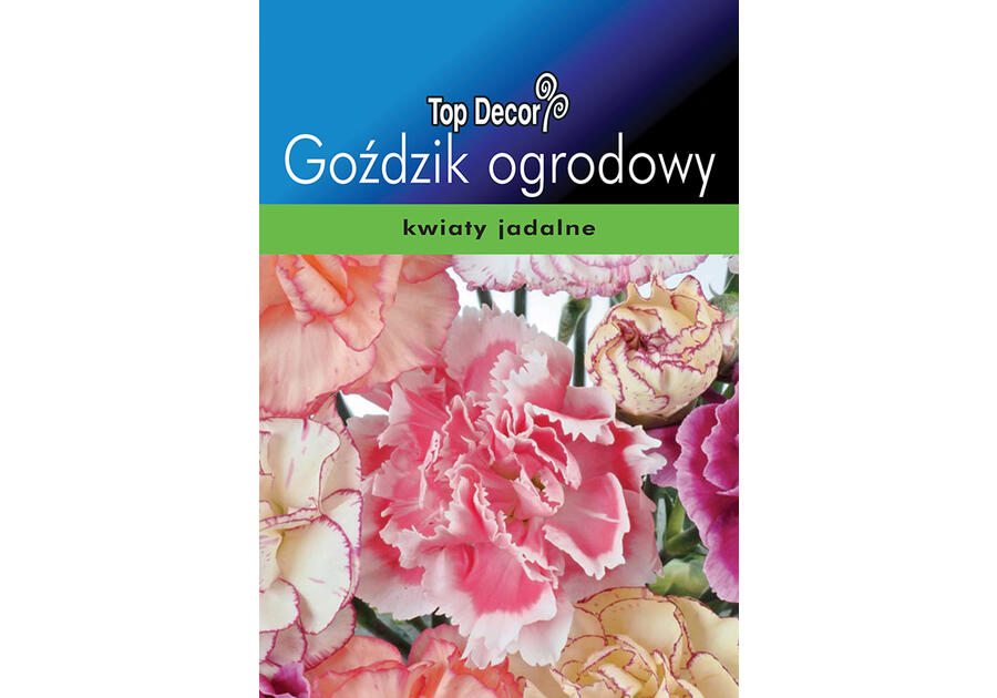 Zdjęcie: Goździk ogrodowy TOP DECOR