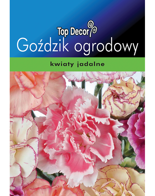 Zdjęcie: Goździk ogrodowy TOP DECOR