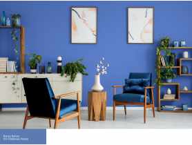 Farba Barwy Natury chabrowa polana 164 2,5L ŚNIEŻKA