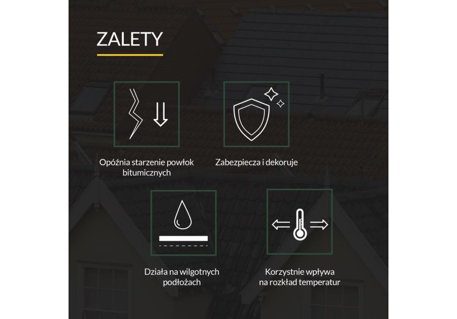 Zdjęcie: Powłoka asfaltowo-aluminiowa hydroizolacyjno-dekoracyjna Alubit 5 kg TYTAN PROFESSIONAL