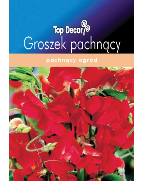 Zdjęcie: Groszek pachnący TOP DECOR