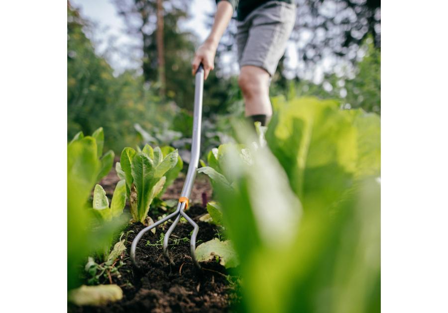 Zdjęcie: Kultywator Ergonomic wygięty trzonek FISKARS
