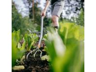 Zdjęcie: Kultywator Ergonomic wygięty trzonek FISKARS