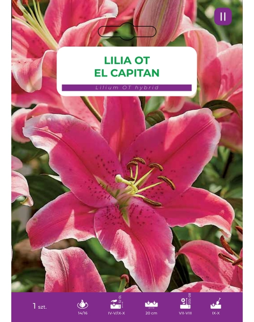 Zdjęcie: Lilia El Capitan LEGUTKO
