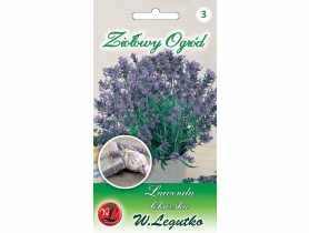 Lawenda lekarska 20 g W.LEGUTKO