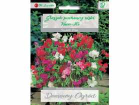 Groszek pachnący Knee-Hi W.LEGUTKO