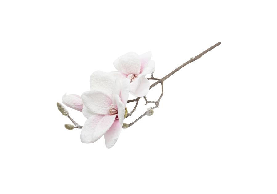 Zdjęcie: Gałązka magnolii śnieżona 50 cm TOP GIFTS