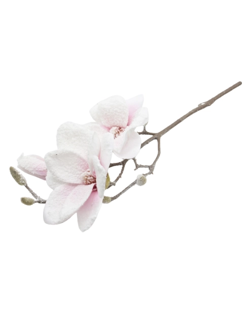 Zdjęcie: Gałązka magnolii śnieżona 50 cm TOP GIFTS