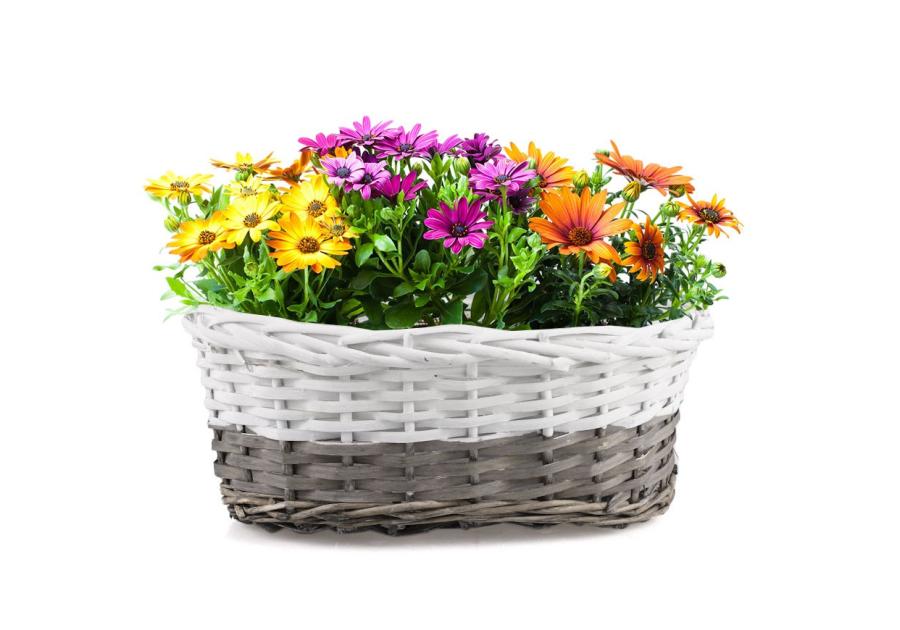 Zdjęcie: Balkonówka koszyk na kwiaty z folią 32x19x12 cm TIN TOURS