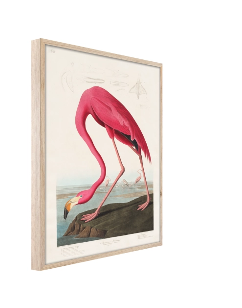 Zdjęcie: Plakat Framepic 50x70 cm Fp039 Flamingo STYLER