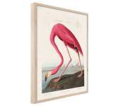 Zdjęcie: Plakat Framepic 50x70 cm Fp039 Flamingo STYLER