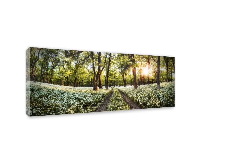 Zdjęcie: Obraz Canvas Place 60x150 cm St465 Spring STYLER