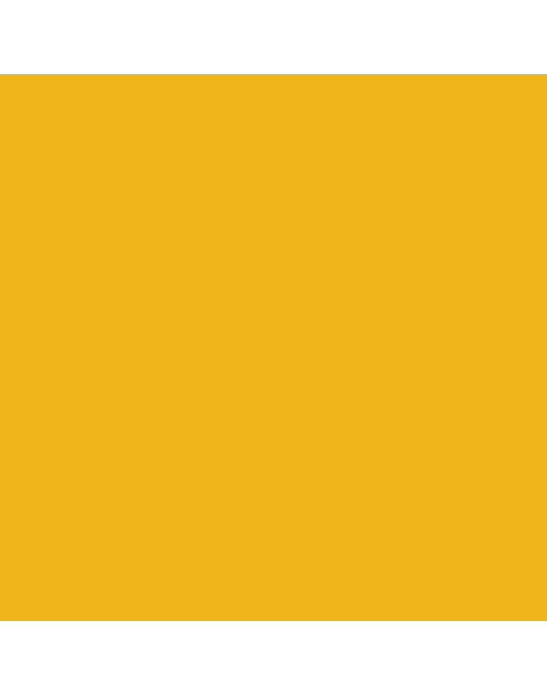 Zdjęcie: Farba lateksowa Designer Colour Juicy Orange 2,5 L BECKERS