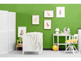 Farba lateksowa Moc Koloru zdecydowanie zielony 5 L DEKORAL