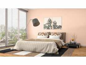 Farba Barwy Natury letni poranek 105 2,5L ŚNIEŻKA