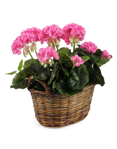 Zdjęcie: Kosz z uchwytami HC08230.S okrągły TIN TOURS