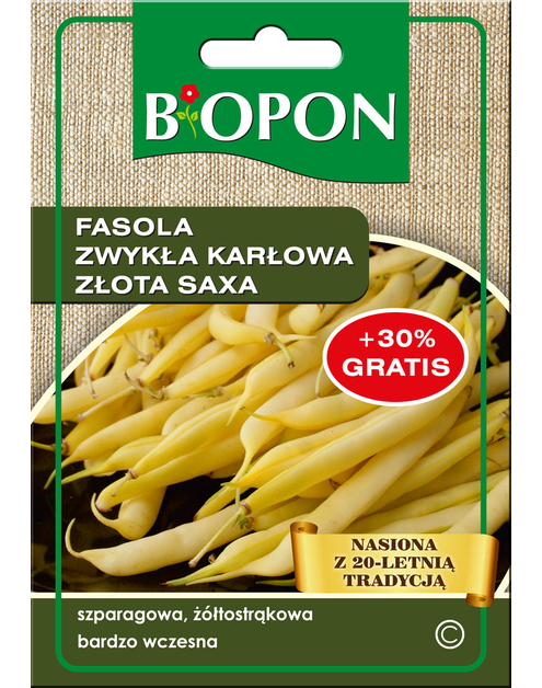 Zdjęcie: Fasola zwykła karłowa Złota Saxa żółtostrąkowa 25 g BIOPON