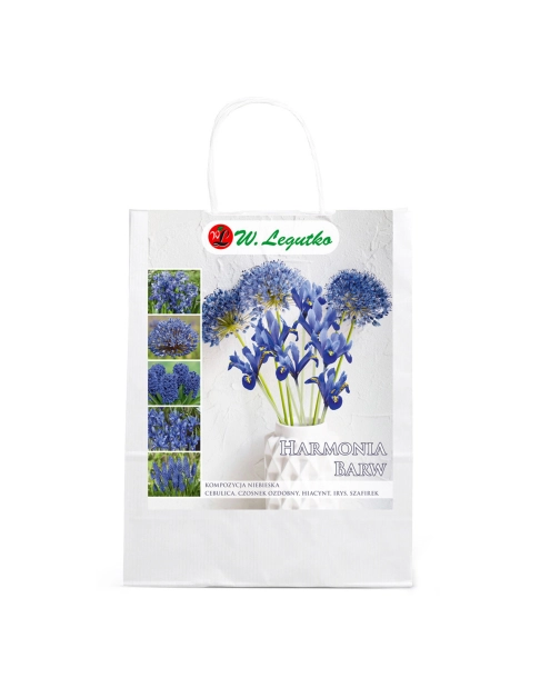 Zdjęcie: Kompozycja niebieska W.LEGUTKO