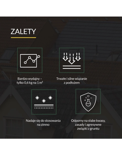 Zdjęcie: Lepik do papy Abizol KL DM 9 kg TYTAN PROFESSIONAL